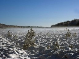 IMGP9448_Vinterstemning